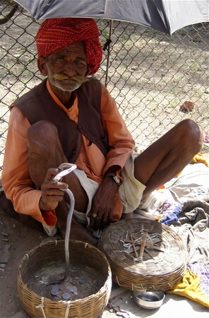 Snake charmer in Ujjain