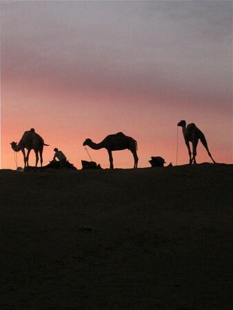 Overnight in the desert near Jaisalmer